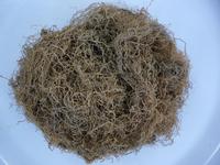 DRIED GRACILARIA SEAWEED