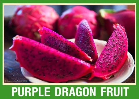 DRAGON FRUIT CHEAP PRICE
