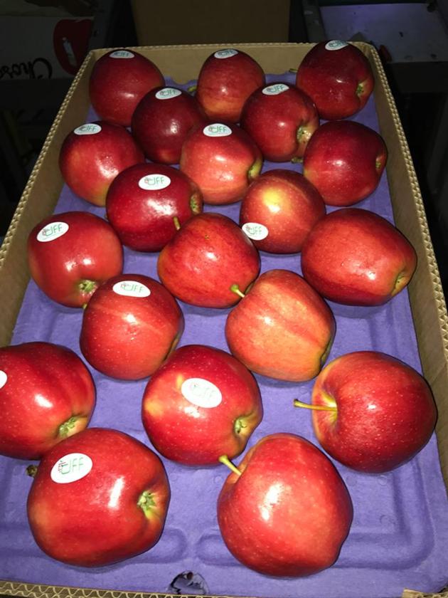 Fresh Apple
