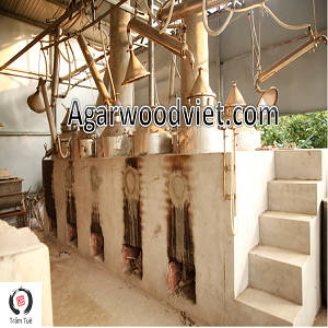 Vietnam Pure Essential Agarwood Oil High