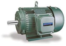 Y SERIES THREE-PHASE INDUCTION MOTOR