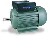 YL SERIES SINGLE PHASE CAPACITOR START AND CAPACITOR