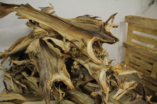 Supply Norwegian Stockfish for wholesale