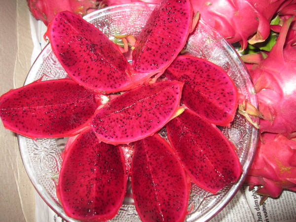 VIETNAM DRAGON FRUIT, WHITE FLESH