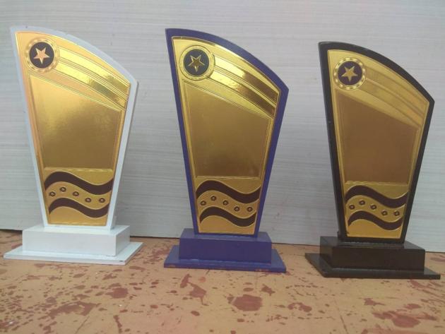 Wooden Trophy