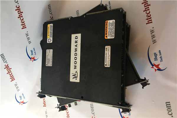Woodward 9905-090 Process/Import-Export Control