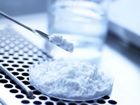 Sodium Hyaluronate (HA)