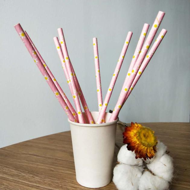 CFXG 5002High Speed Paper Straws Machine