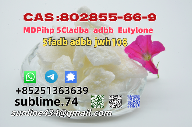 CAS 802855 66 9adbb Eutylone 5fadb