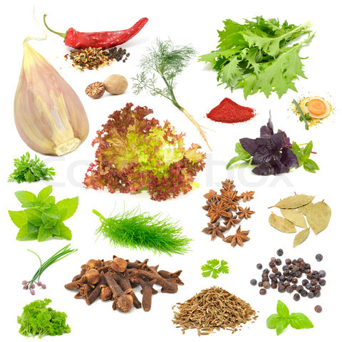 Thai spices exporter in Dried Ground or Powder Form 