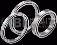 Single Row Full Complement Cylindrical Roller Bearing