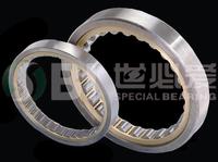 Single Row Cylindrical Roller Bearings 