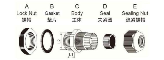 G Thread Cable Gland