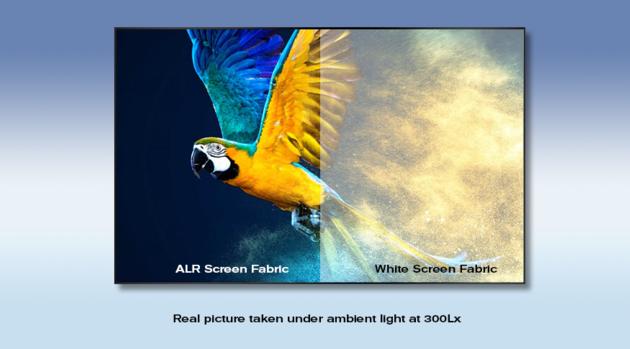 Short Throw Projector Screen High Contrast