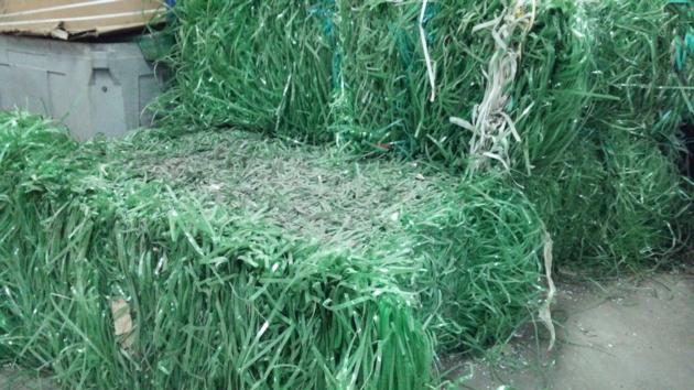PET BOTTLE SCRAP