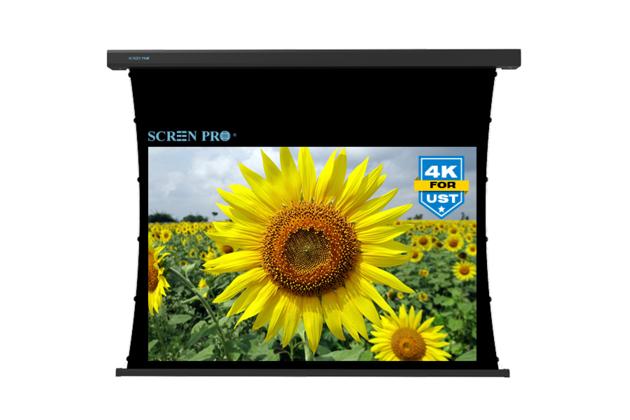 TOP T Prism Thin Fixed Frame