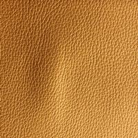 car seat leather