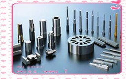mould components,precisiom mould