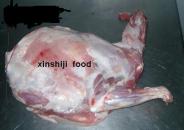 halal lamb carcass