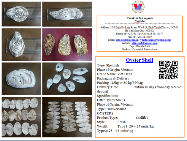 Oyster Shell