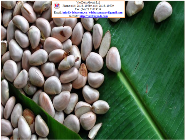 Jackfruit Seeds