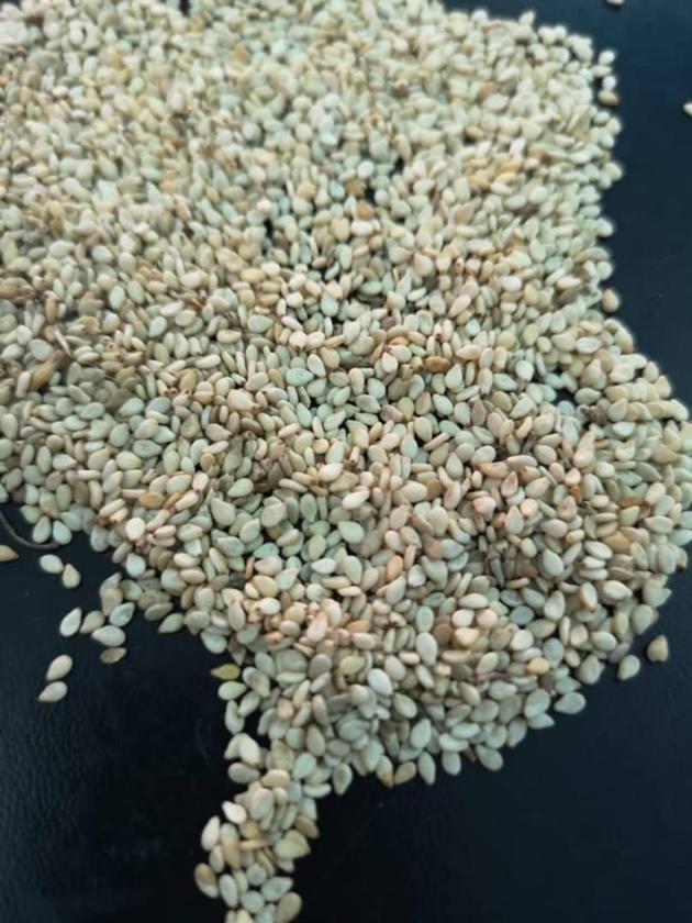 White Sesame