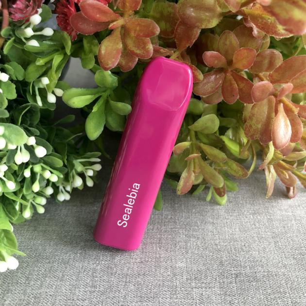 Mini E Cigarette Pen