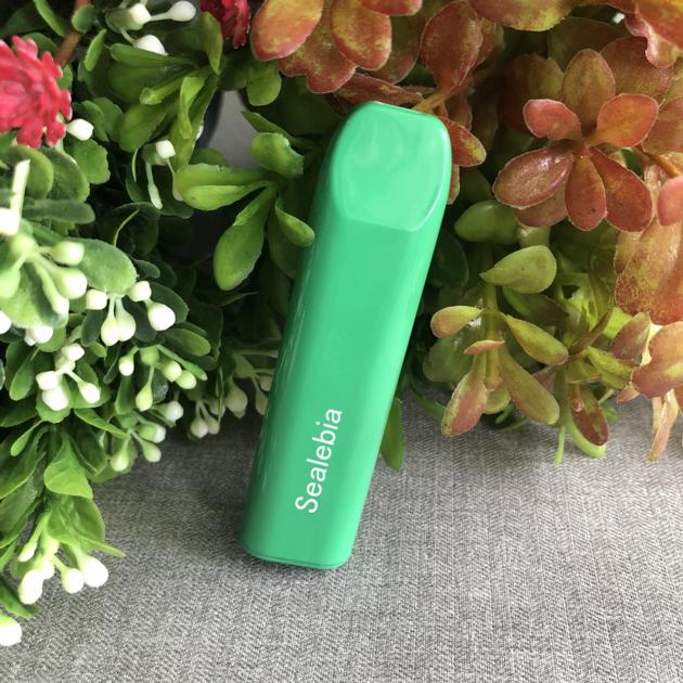 Mini E Cigarette Pen