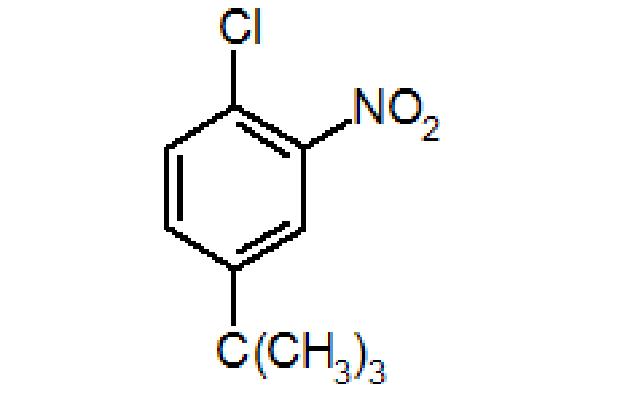 1-tert-Butyl-3-nitro-4-chloro-benzene