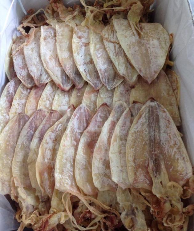 Dried Squid 