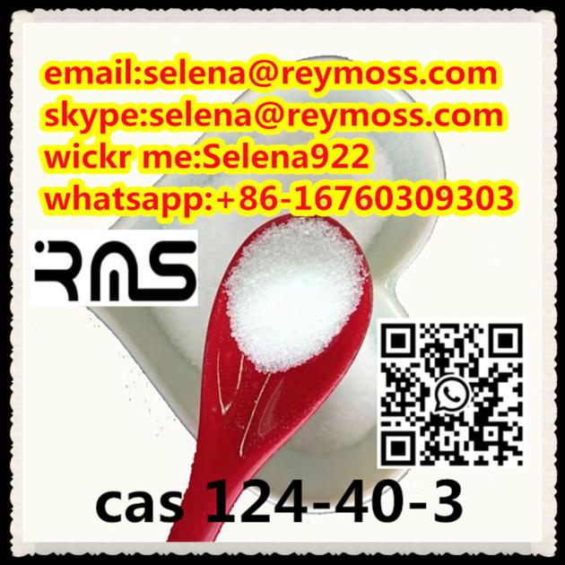 Dimethylamine CAS 124 40 3