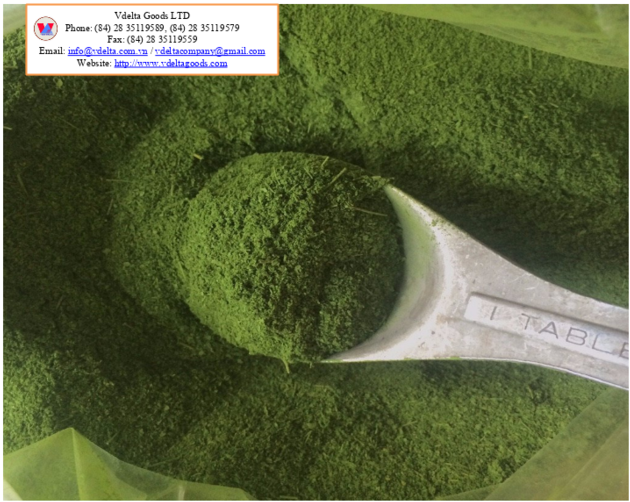 Moringa Powder