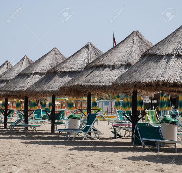 Palm Leaf Beach Umbrella Suppliers