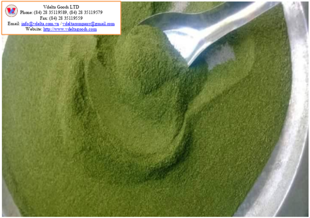 Moringa Powder