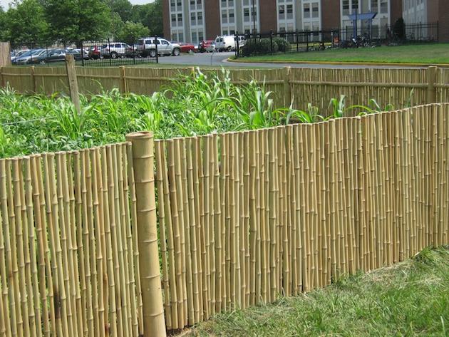bamboo fence suppliers
