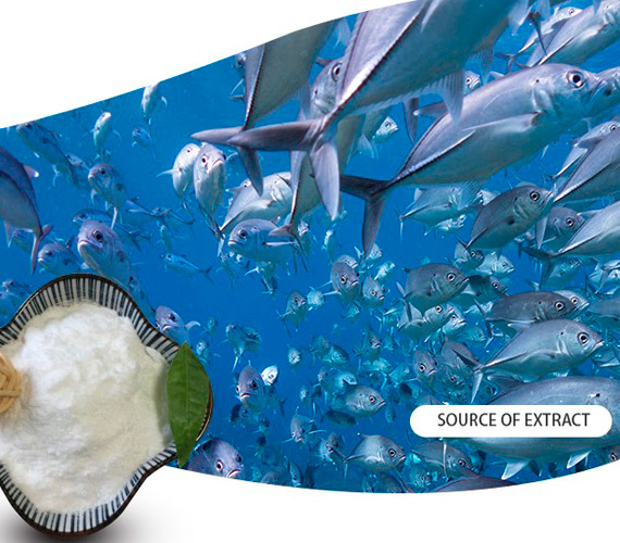 Hydrolyzed Marine Collagen