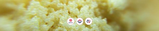 Indicator Mixed Bed Ion Exchange Resin