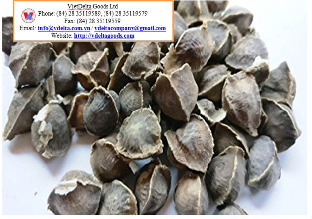 Moringa Oleifera Seeds