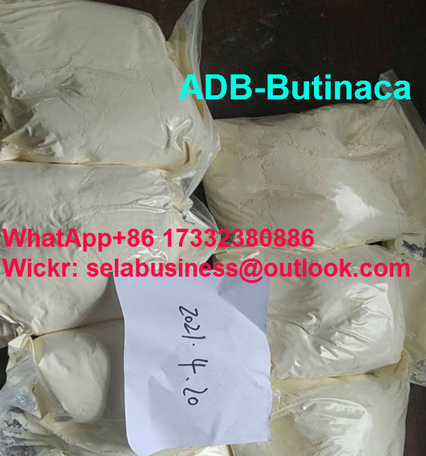 Price ADB-Butinaca 5cladb/6cladb WhatsApp 86-17332380886