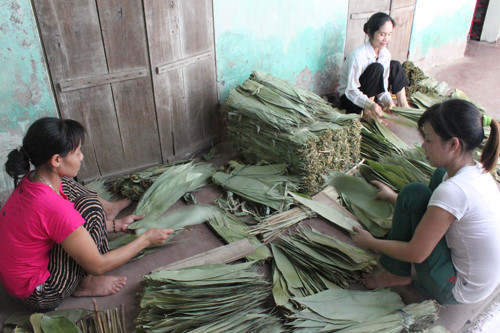 Bamboo Leaf