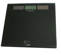 Solar Person Scale