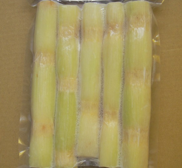 Sugarcane