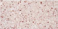 Quartz Stone