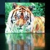 Indoor Full Color LED Display