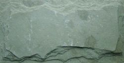 Mushroom Slate