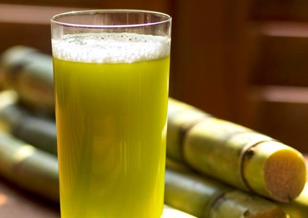 Sugarcane