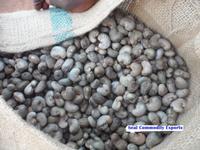 Cashew Nuts