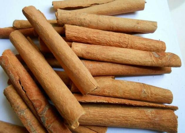 Tube cinnamon suppliers
