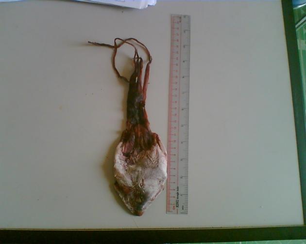 Dried Black Squids