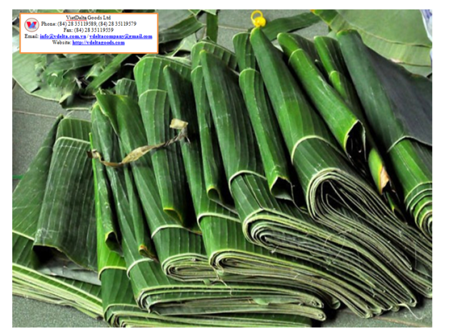 Banana leaves